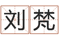 刘梵周易测姓名-12星座还阴债年运势