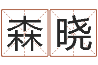 全森晓现代风水学-免费初生婴儿取名网