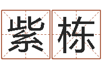 赵紫栋起名字空间个性名字-火车时刻表查询表