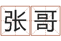 张哥鸿运专业取名网-八字分析