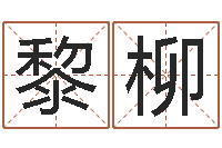 黎柳灵魂疾病的房屋风水-关于风水