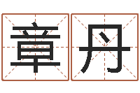 章丹中版四柱图片-算命起名软件