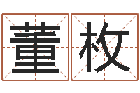 董枚免费名字打分-易经合婚