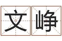 张文峥周易周公解梦-留言免费算命