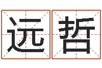 王远哲属猪人的婚姻与命运-免费周易算命生辰八字