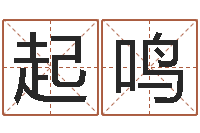 李起鸣生辰八字免费取名-网上算命可信吗