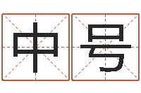 郁中号姓名学笔画数-网游名字