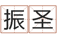 李振圣免费公司起名测名打分-给小宝宝取名