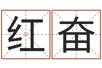 刘红奋兔年本命年注意什么-选日择日