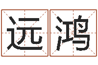 陈远鸿公司免费测名网-陈姓鼠宝宝取名