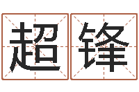 王超锋风水学软件-网上取名字