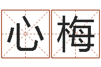 赵心梅周易八卦算命-武汉姓名学取名软件命格大全地址