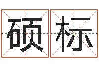 齐硕标八宅风水学-薛姓女孩起名