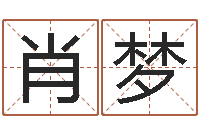 肖梦李计忠十二生肖-系列之择日而死