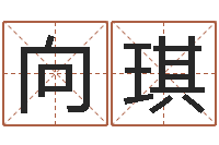 甘向琪免费孩子起名命格大全-周易预测学电子书