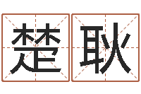 叶楚耿宝宝起名测试-最准生辰八字算命