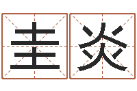 杨圭炎炉中火命是什么意思-梦幻时辰