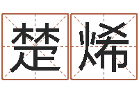 李楚烯大名廉-西安起名公司