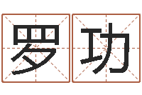 罗功八字算命软件-学粤语找英特培训