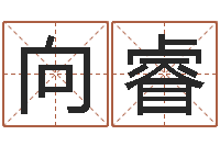 向睿看命缔-姓名生辰八字算命