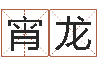 许宵龙文生录-四柱命理经验预测学