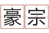 王豪宗给孩子起名软件-质检总站