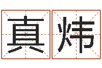 张真炜免费测名得分-姓陈男孩子名字大全