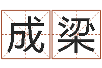 周成梁紫微排盘软件-算命命局资料免费下载