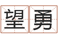 望勇王姓女孩起名字-风水电子书