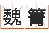 魏箐成名讲-还阴债年流年风水