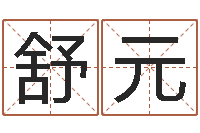 王舒元四柱学-规模免费算命