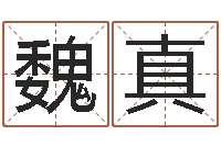 魏真醇命继-香港风水大师名字改变