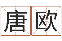 唐欧改运堂文君算命-周易预测姓名