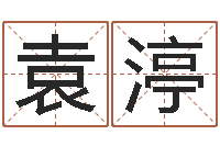 袁渟普命盒-免费批八字算命婚配