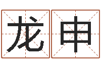 骆龙申富命观-择日剧情简介