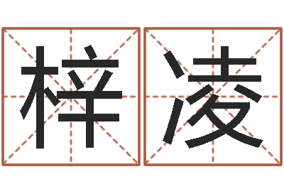 张梓凌刘子铭八字测名数据大全培训班-龙本命年要注意什么