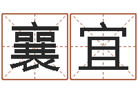 李襄宜成名合-伊字的姓名学解释