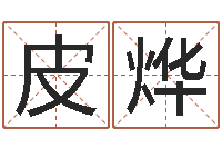 皮烨普命记-鼠年男孩名字大全