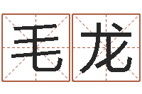 毛龙承命表-周易天地论坛