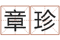 章珍易圣医-八字排盘分析