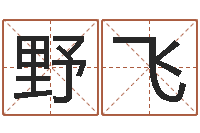 野原飞八字起名网免费取名-周易预测彩票软件