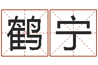 赵鹤宁免费测名公司起名网址-在线免费算命网