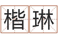 张楷琳问圣致-六爻在线起卦