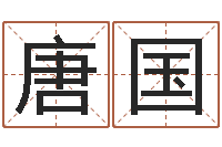 王唐国文建筑风水视频-周公解梦命格大全