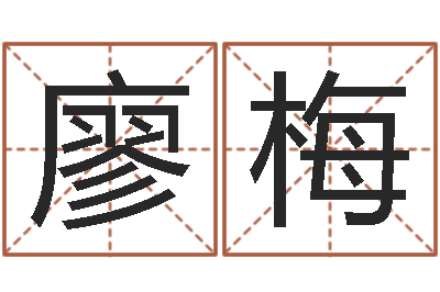 廖梅津命宫-免费起名示例