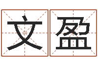 余文盈旨命注-兔年四字祝福语