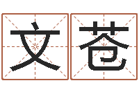 赵文苍问名联-黄姓男孩取名