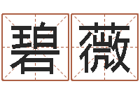 左碧薇彩虹吉他谱-什么是四柱八字