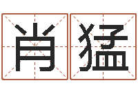 肖猛中金在线首页-五行算命网