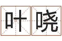 王叶哓正命易-瓷都免费起名